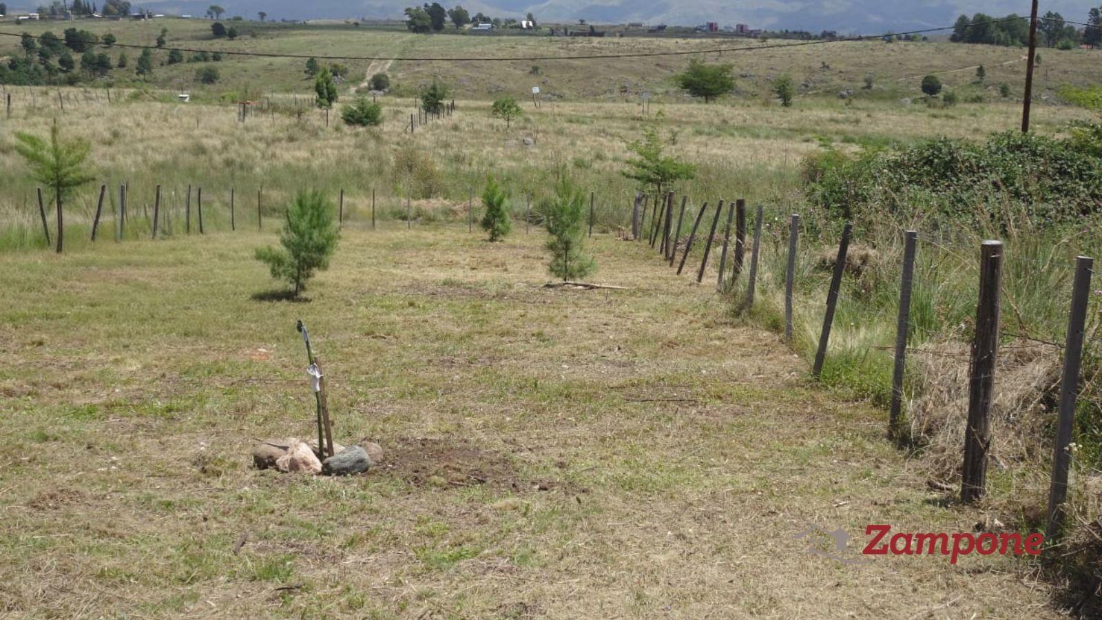 7827093_102966567221367522384911632729277242573330399758940824180770804477770006458772