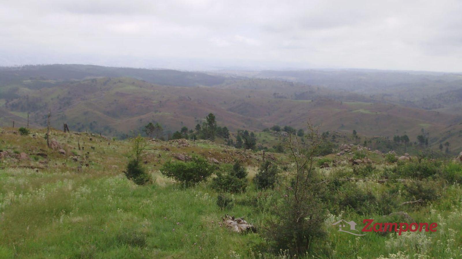 7827093_35530949826719421908099629303482117016521269697834355609475879150904450509329